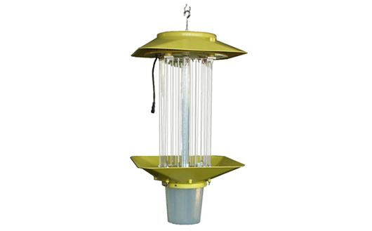 �쿵�r(n��ng)�I(y��)̫��ܚ��x��