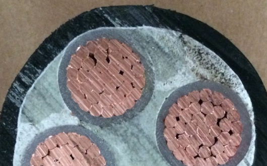 ׃�l��������|