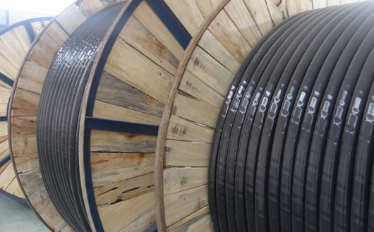 kvv22������|