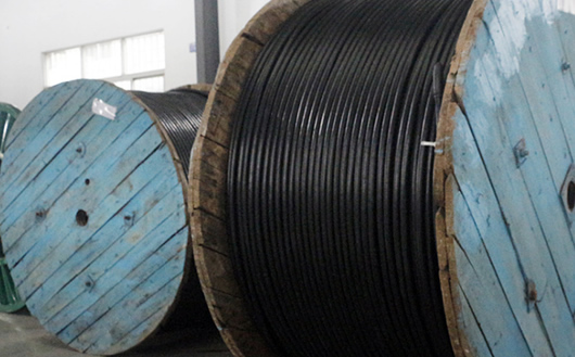 kvv22������|