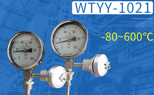 �쿵�p���ٜض�ӋWTYY-1021